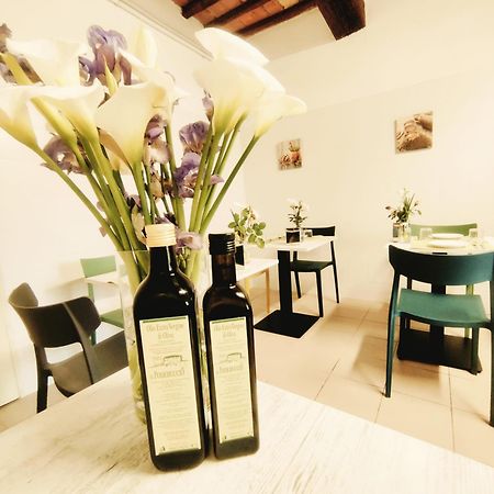Agriturismo Il Poderuccio Кастильоне-д'Орчия Экстерьер фото