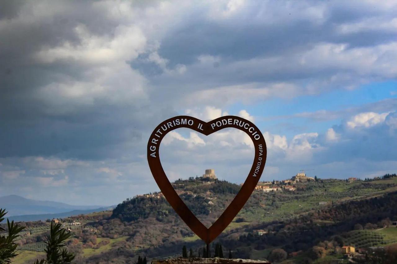 Agriturismo Il Poderuccio Кастильоне-д'Орчия Экстерьер фото