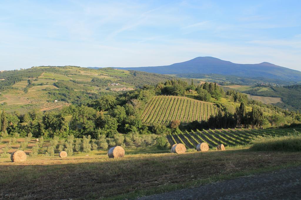 Agriturismo Il Poderuccio Кастильоне-д'Орчия Экстерьер фото